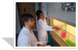 Maarten on secondment at glyXera with Frania explaining the lab work
